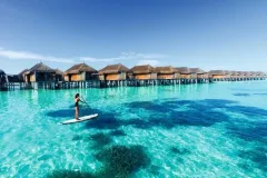 moofushi-cover-3